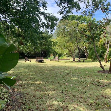 Garden Cottage In Ambiente Guest House Knysna Ngoại thất bức ảnh