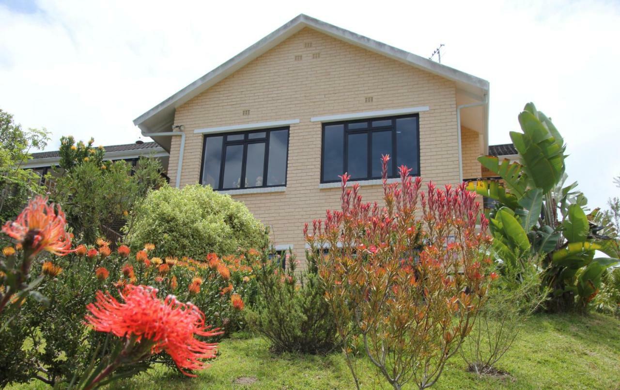 Garden Cottage In Ambiente Guest House Knysna Ngoại thất bức ảnh